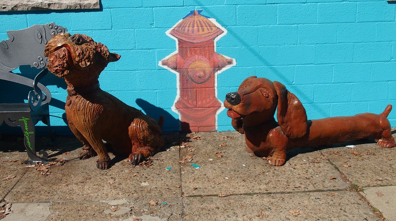 Dogs and Hydrant